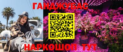 крисы Краснодар
