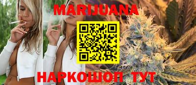 крисы Краснодар